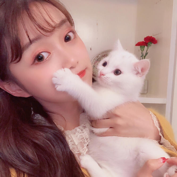 江口洋介（饰 斋藤一） - 猪蜜蜜电视剧大全在线观看11 - 手机直播